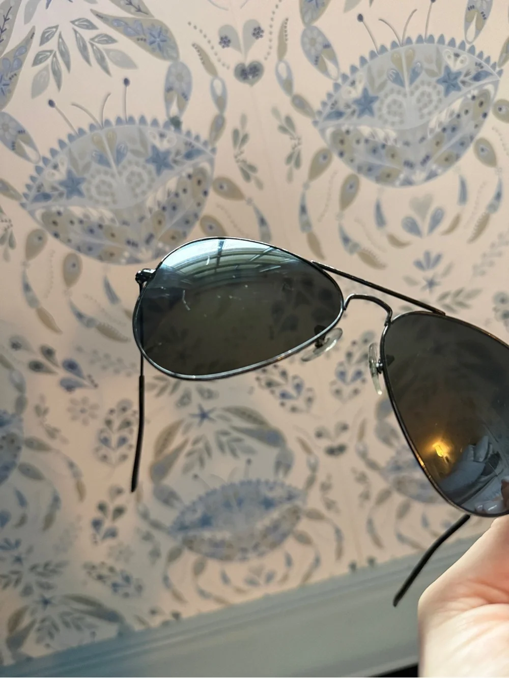 Polarized Ray-Ban Black Aviator Sunglasses with Black Case